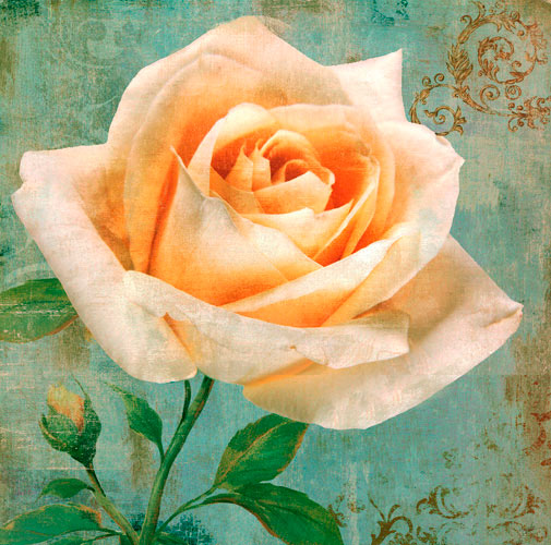 Floral for Jahrriesnge flowers lpf05198 Compatible Floral Jahrriesnge for flowers lpf05198