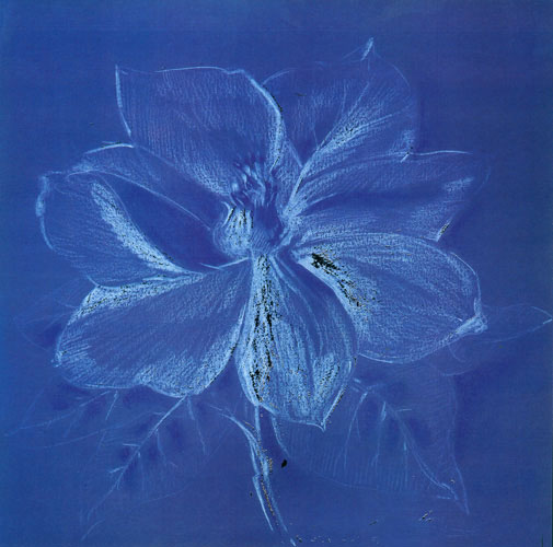 Floral for Jahrriesnge flowers lpf05270 Compatible Floral Jahrriesnge for flowers lpf05270
