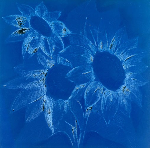 Floral for Jahrriesnge flowers lpf05271 Compatible Floral Jahrriesnge for flowers lpf05271