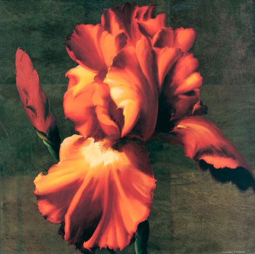 Floral for Jahrriesnge flowers lpf05296 Compatible Floral Jahrriesnge for flowers lpf05296
