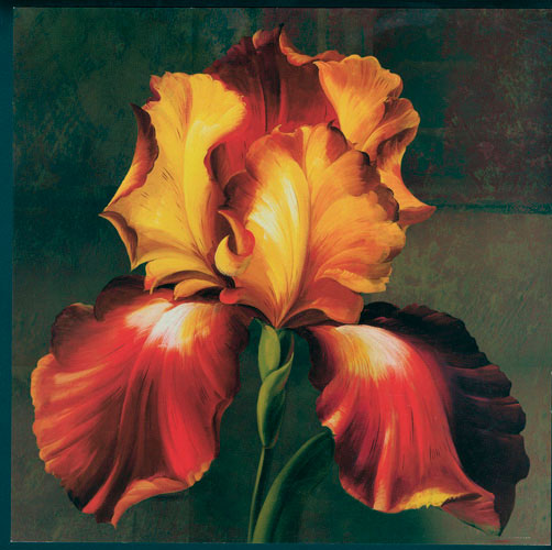 Floral for Jahrriesnge flowers lpf05297 Compatible Floral Jahrriesnge for flowers lpf05297