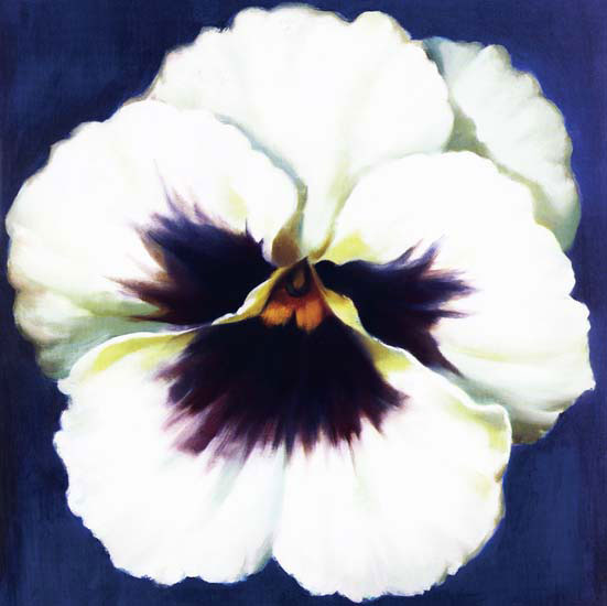 Floral for Jahrriesnge flowers lpf05350 Compatible Floral Jahrriesnge for flowers lpf05350