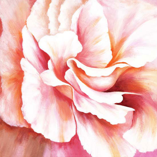 Floral for Jahrriesnge flowers lpf05352 Compatible Floral Jahrriesnge for flowers lpf05352