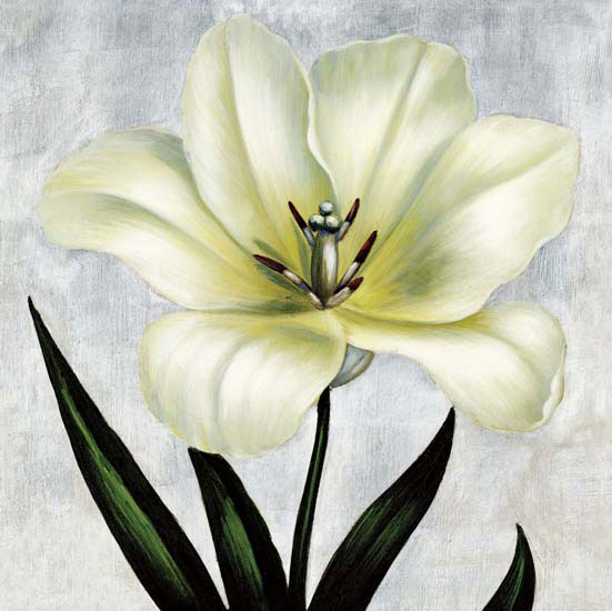Floral for JAHRRIESNGE flowers lpf05391 Compatible Floral JAHRRIESNGE for flowers lpf05391