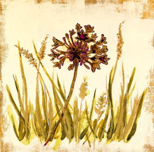 Floral for Jahrriesnge flowers lpf05583 Compatible Floral Jahrriesnge for flowers lpf05583