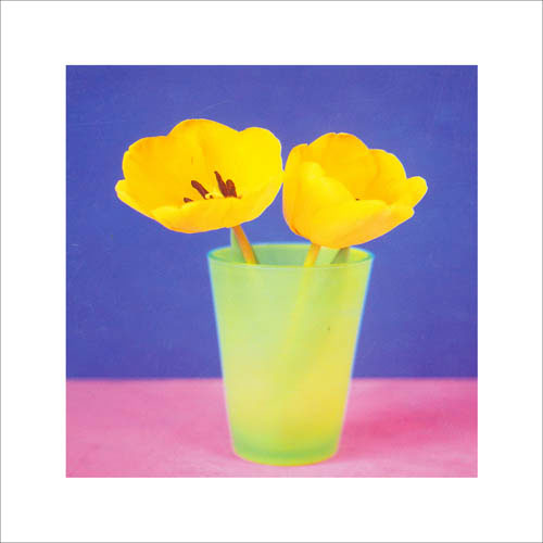 Floral for Jahrriesnge flowers lpf05589 Compatible Floral Jahrriesnge for flowers lpf05589