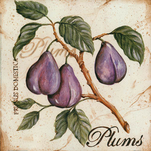 Floral for Jahrriesnge plums lpf05600 Compatible Floral Jahrriesnge for plums lpf05600