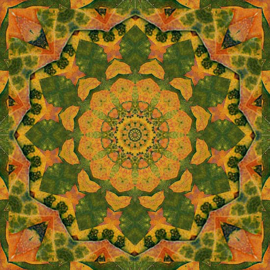 Abstrait for Jahrriesnge colorful-lpf06363 Compatible Abstrait Jahrriesnge for colorful-lpf06363