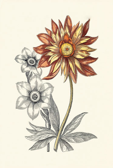 Floral for Jahrriesnge flowers-lpf06621 Compatible Floral Jahrriesnge for flowers-lpf06621