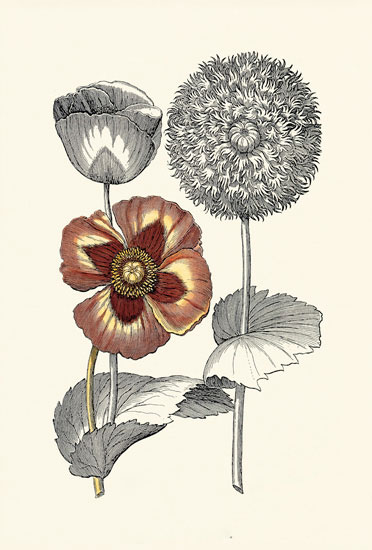 Floral for Jahrriesnge flowers-lpf06623 Compatible Floral Jahrriesnge for flowers-lpf06623