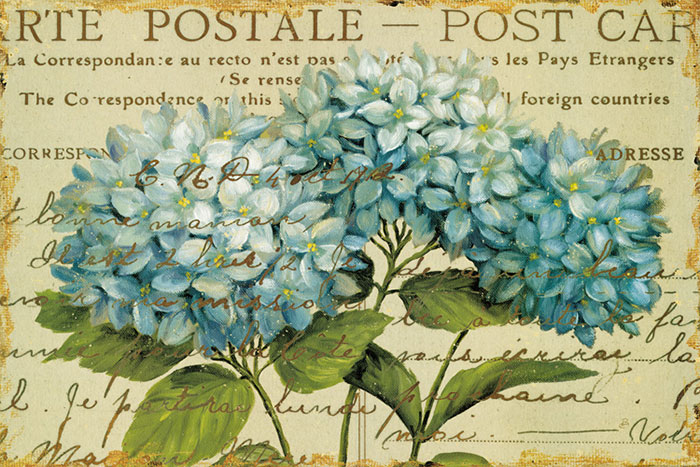 Floral for Jahrriesnge flowers-lpf06628 Compatible Floral Jahrriesnge for flowers-lpf06628