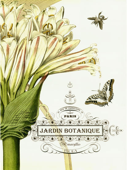 Floral for Jahrriesnge flowers-lpf06633 Compatible Floral Jahrriesnge for flowers-lpf06633