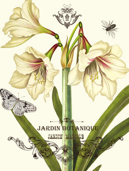 Floral for Jahrriesnge flowers-lpf06634 Compatible Floral Jahrriesnge for flowers-lpf06634