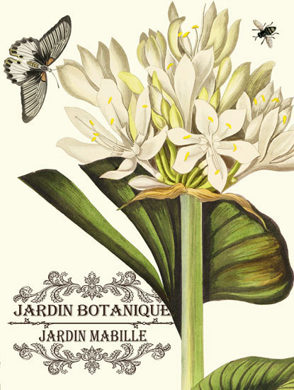 Floral for Jahrriesnge flowers-lpf06636 Compatible Floral Jahrriesnge for flowers-lpf06636