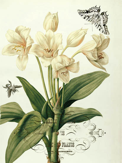 Floral for JAHRRIESNGE flowers-lpf06638 Compatible Floral JAHRRIESNGE for flowers-lpf06638