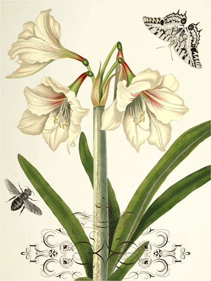 Floral for Jahrriesnge flowers-lpf06639 Compatible Floral Jahrriesnge for flowers-lpf06639