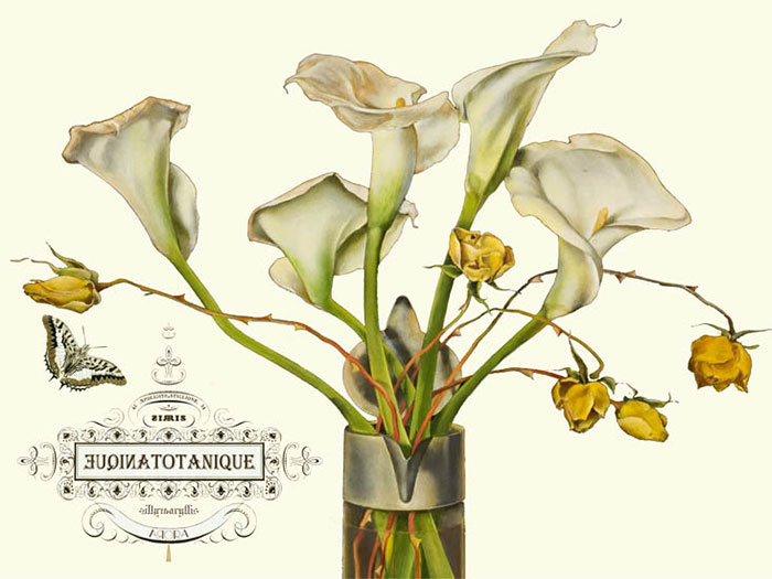 Floral for Jahrriesnge flowers-lpf06640 Compatible Floral Jahrriesnge for flowers-lpf06640