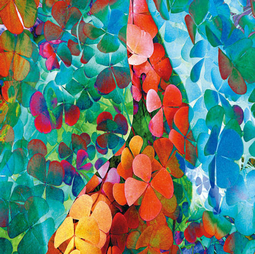 Floral for Jahrriesnge flowers-lpf06742 Compatible Floral Jahrriesnge for flowers-lpf06742
