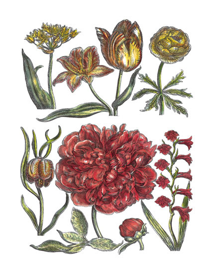 Floral for Jahrriesnge flowers-lpf06779 Compatible Floral Jahrriesnge for flowers-lpf06779