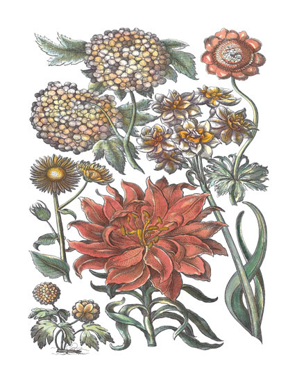 Floral for Jahrriesnge flowers-lpf06780 Compatible Floral Jahrriesnge for flowers-lpf06780