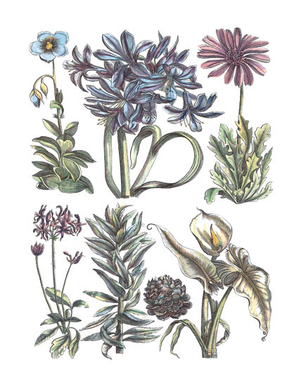 Floral for Jahrriesnge flowers-lpf06781 Compatible Floral Jahrriesnge for flowers-lpf06781
