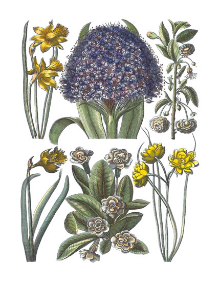 Floral for JAHRRIESNGE flowers-lpf06782 Compatible Floral JAHRRIESNGE for flowers-lpf06782