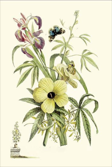 Floral for Jahrriesnge flowers-lpf06784 Compatible Floral Jahrriesnge for flowers-lpf06784