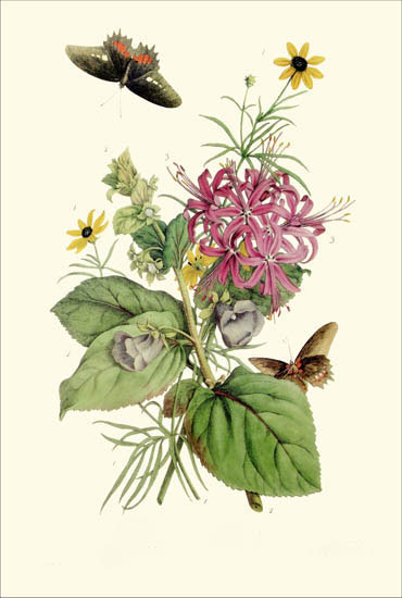 Floral for Jahrriesnge flowers-lpf06786 Compatible Floral Jahrriesnge for flowers-lpf06786
