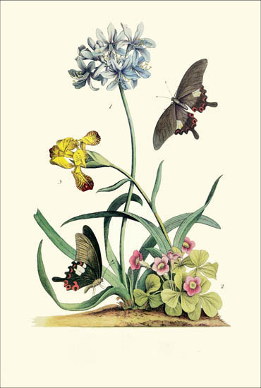 Floral for Jahrriesnge flowers-lpf06787 Compatible Floral Jahrriesnge for flowers-lpf06787