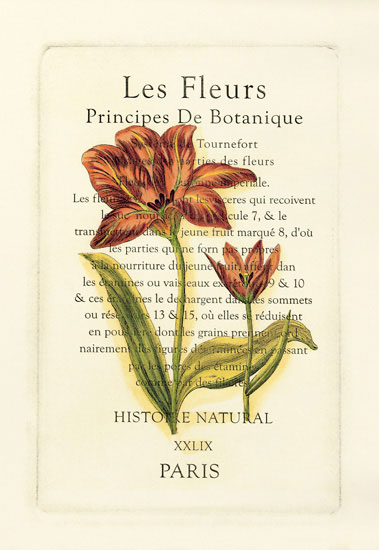 Floral for Jahrriesnge flowers-lpf06793 Compatible Floral Jahrriesnge for flowers-lpf06793