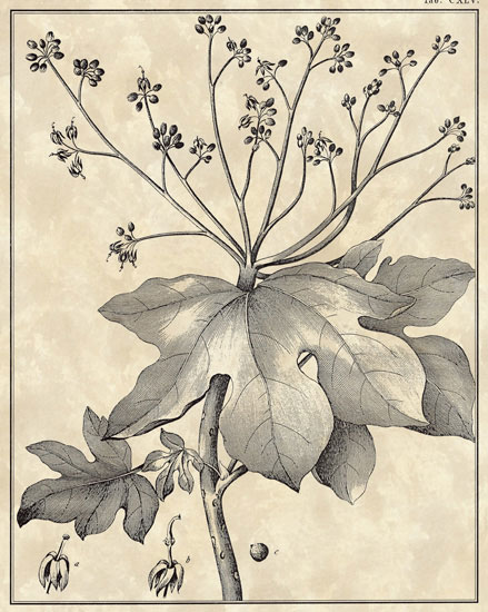 Floral for Jahrriesnge flowers-lpf06799 Compatible Floral Jahrriesnge for flowers-lpf06799