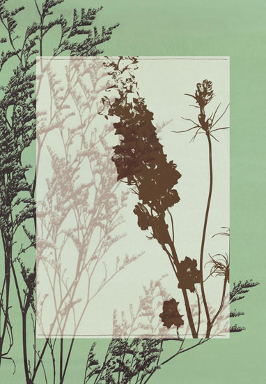 Floral for Jahrriesnge flowers-lpf06812 Compatible Floral Jahrriesnge for flowers-lpf06812