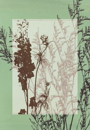 Floral for Jahrriesnge flowers-lpf06813 Compatible Floral Jahrriesnge for flowers-lpf06813