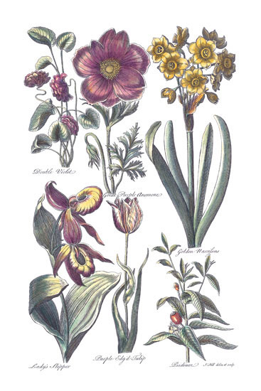 Floral for Jahrriesnge flowers-lpf06818 Compatible Floral Jahrriesnge for flowers-lpf06818