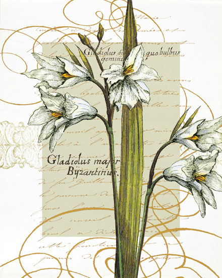 Floral for Jahrriesnge flowers-lpf06821 Compatible Floral Jahrriesnge for flowers-lpf06821