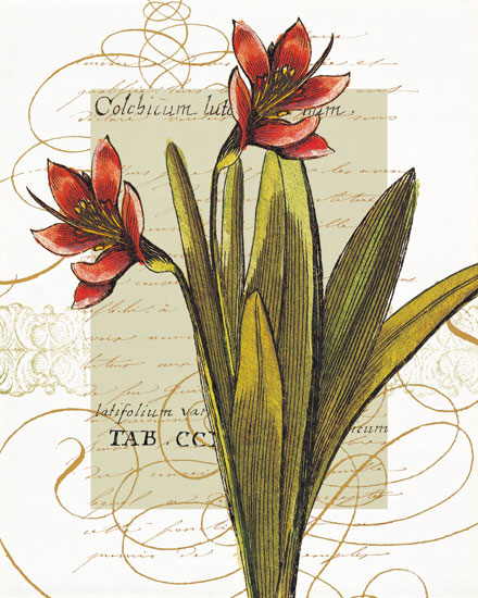 Floral for Jahrriesnge flowers-lpf06822 Compatible Floral Jahrriesnge for flowers-lpf06822