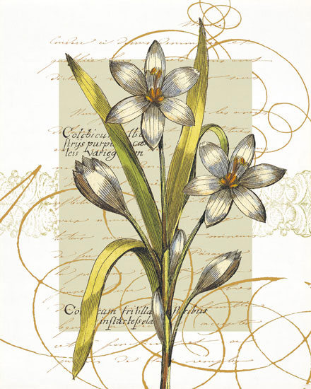 Floral for Jahrriesnge flowers-lpf06823 Compatible Floral Jahrriesnge for flowers-lpf06823