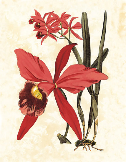 Floral for JAHRRIESNGE flowers-lpf06830 Compatible Floral JAHRRIESNGE for flowers-lpf06830