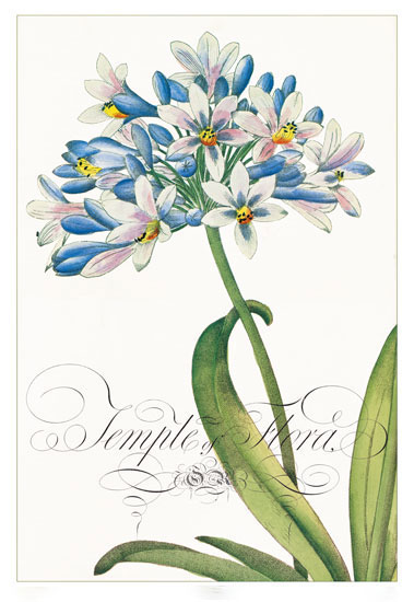Floral for Jahrriesnge flowers-lpf06833 Compatible Floral Jahrriesnge for flowers-lpf06833