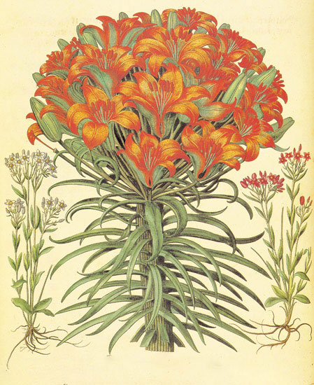 Floral for Jahrriesnge flowers-lpf06871 Compatible Floral Jahrriesnge for flowers-lpf06871