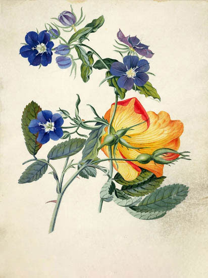 Floral for Jahrriesnge flowers-lpf06889 Compatible Floral Jahrriesnge for flowers-lpf06889