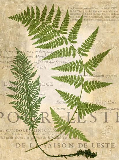 Floral for Jahrriesnge leaves-lpf06897 Compatible Floral Jahrriesnge for leaves-lpf06897