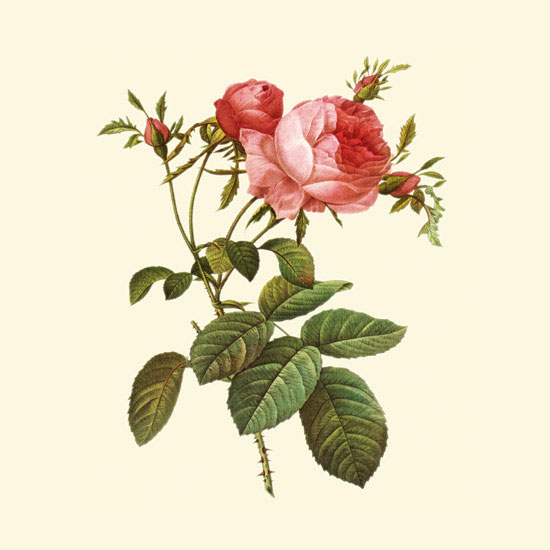 Floral for Jahrriesnge flowers-lpf06934 Compatible Floral Jahrriesnge for flowers-lpf06934
