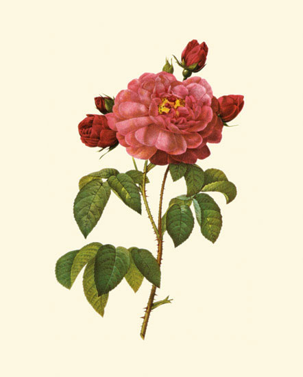 Floral for Jahrriesnge flowers-lpf06960 Compatible Floral Jahrriesnge for flowers-lpf06960