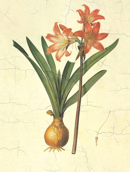 Floral for Jahrriesnge flowers-lpf06974 Compatible Floral Jahrriesnge for flowers-lpf06974
