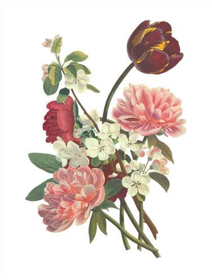 Floral for Jahrriesnge flowers-lpf06999 Compatible Floral Jahrriesnge for flowers-lpf06999