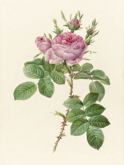 Floral for Jahrriesnge flowers-lpf07011 Compatible Floral Jahrriesnge for flowers-lpf07011