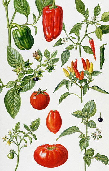 Floral for Jahrriesnge flowers-lpf07031 Compatible Floral Jahrriesnge for flowers-lpf07031