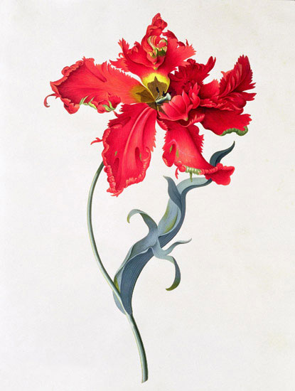 Floral for Jahrriesnge flowers-lpf07043 Compatible Floral Jahrriesnge for flowers-lpf07043