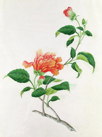 Floral for Jahrriesnge flowers-lpf07044 Compatible Floral Jahrriesnge for flowers-lpf07044